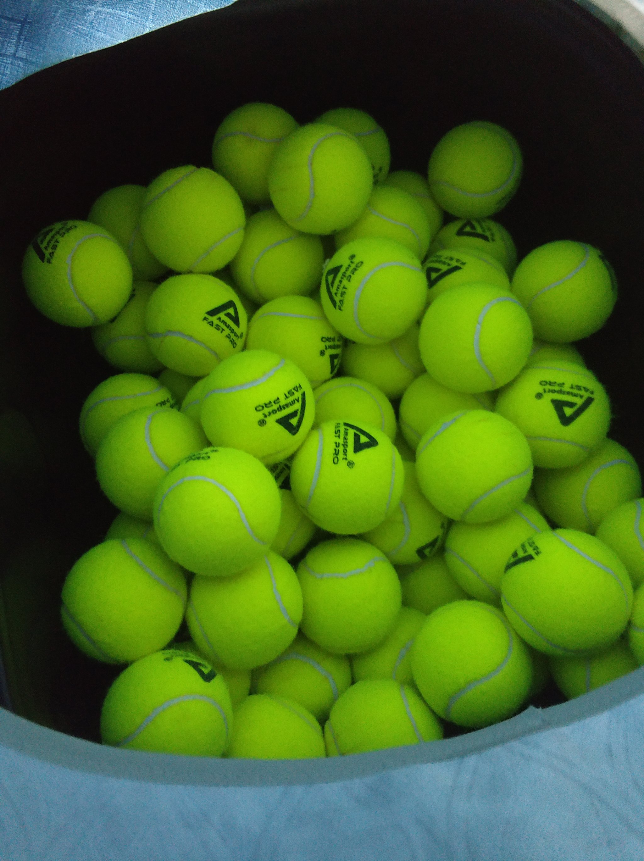 足战巴林2 足战巴林2